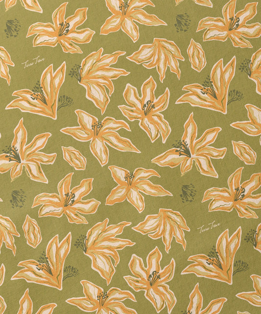 Italian Cotton Fabric | Summer 2026